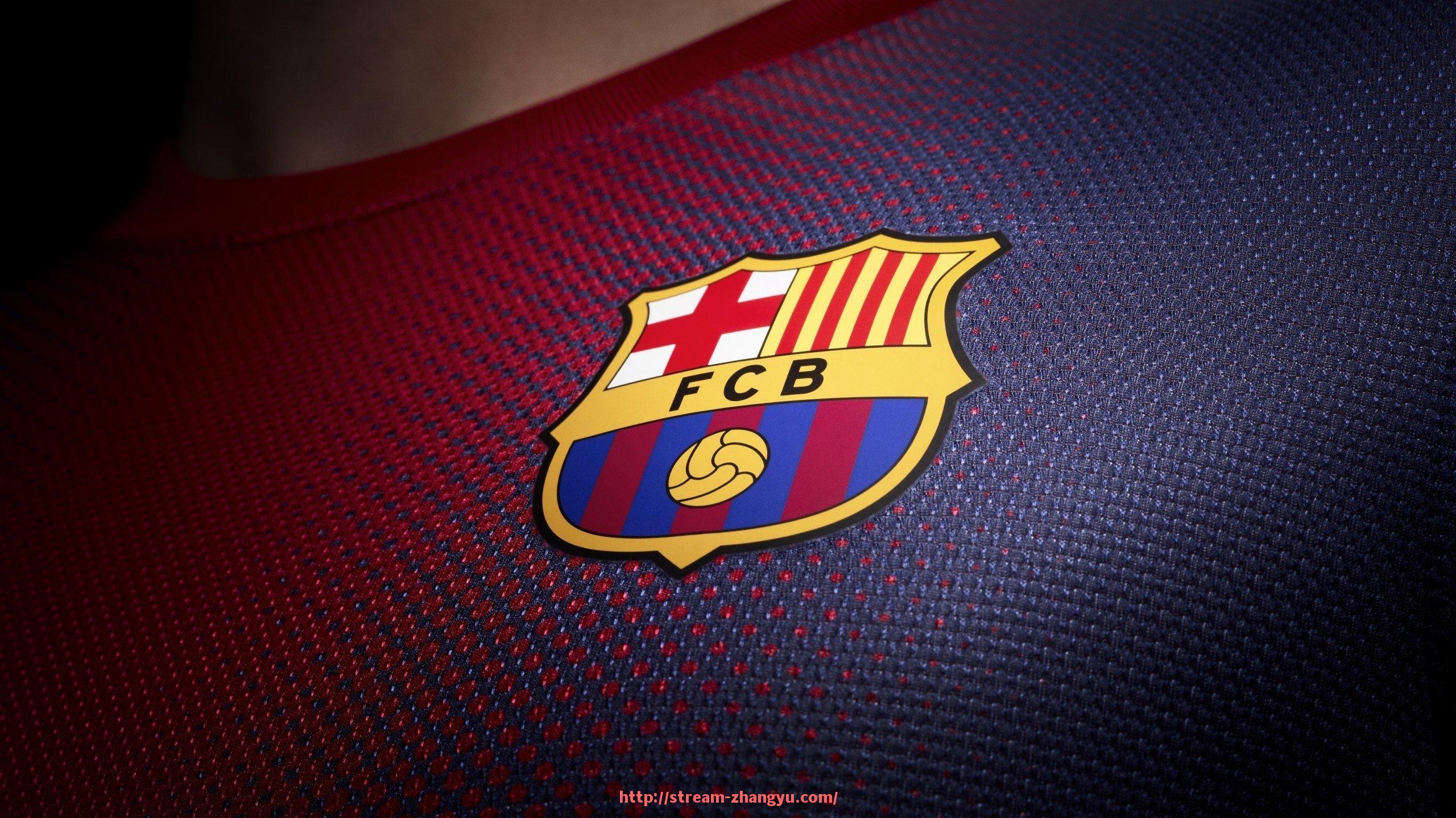 章鱼直播-法甲球队战术策略全面分析：控球、反击与逼抢分布情况