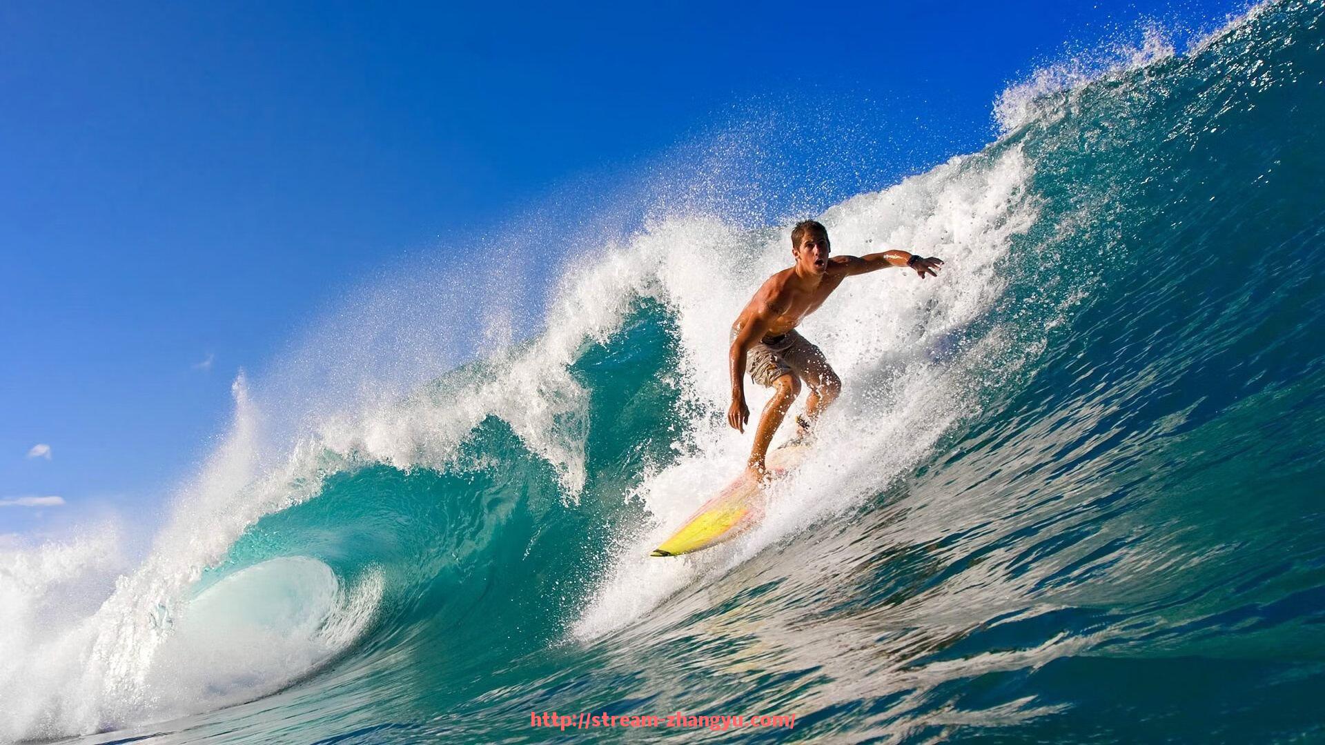 章鱼直播-世俱杯门将扑救排名及关键扑救技术解析